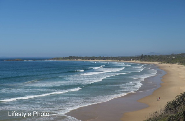 SAWTELL SUNRISE APARTMENT - beachfront, set in leafy street.