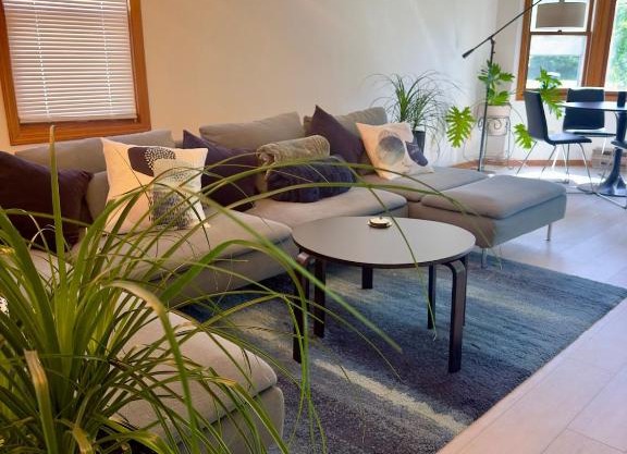 Scandinavian Retreat
