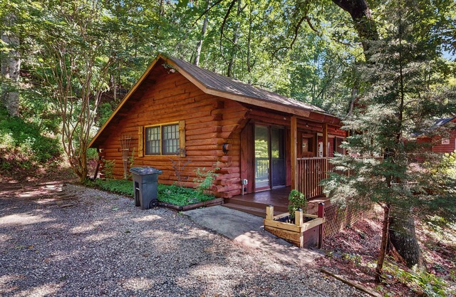 Scenic cabins with fireplaces, children's items, W/D, and AC - dog-friendly