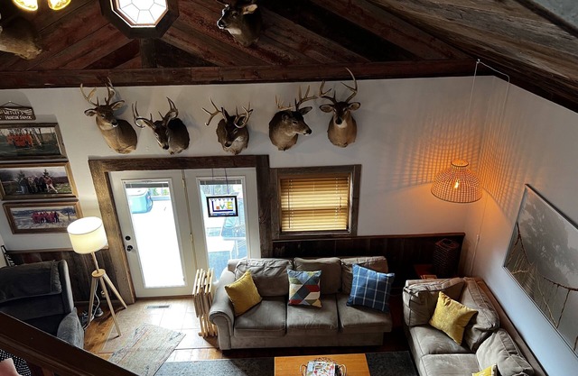 Scenic views on 20 acres! The Family Cabin awaits. Sleeps 10