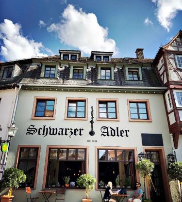 Schwarzer Adler