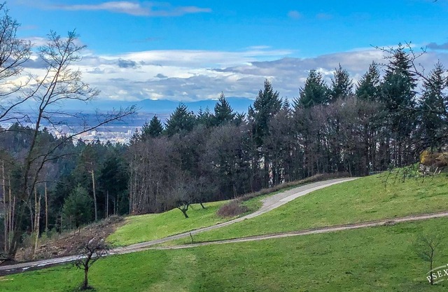 Schwarzwald Stüble in the countryside 10min - Freiburg
