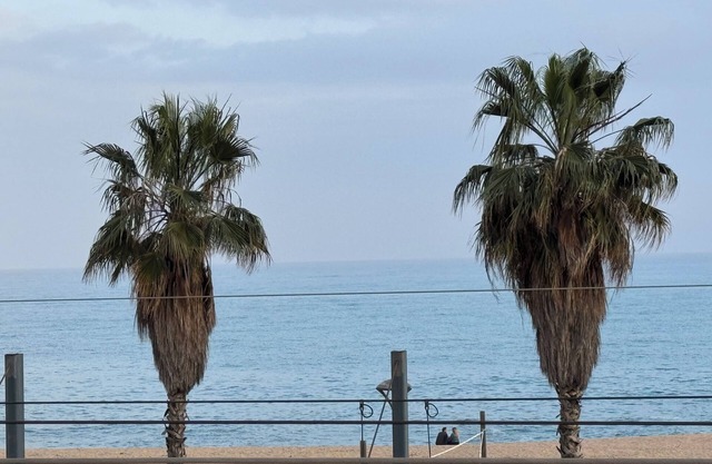 Sea views and garden near Barcelona!
