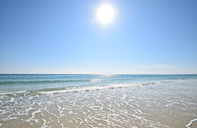 Sea Watch