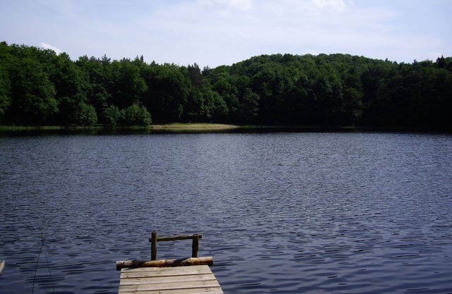 Secluded bungalow on Lake Thursee - nature, starry skies & privacy