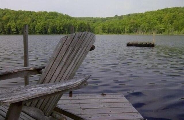 Secluded Cabin on Your Own Private Lake Nestled Among 350 Wooded Acres