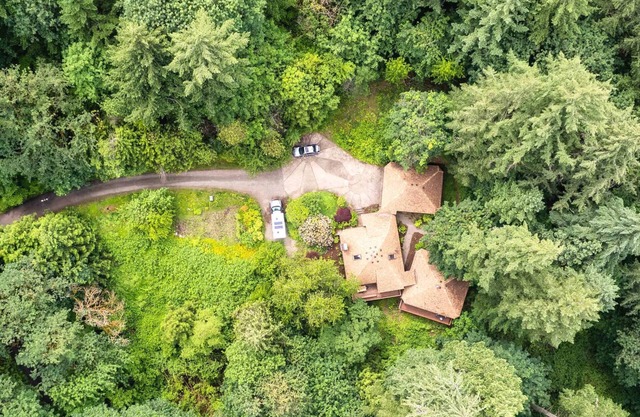 Secluded Fall Forest Getaway | Fire Pit, BBQ & Forest Views