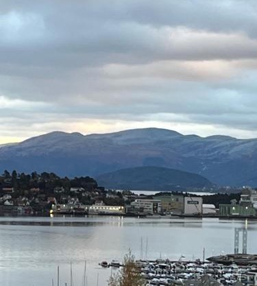 Sentral og romslig bolig