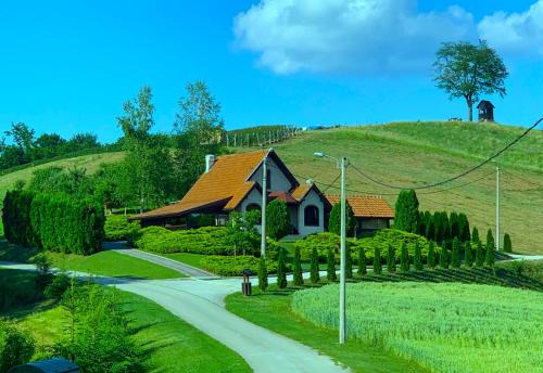 Seosko turističko domaćinstvo Jolović GUČA Veles