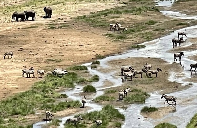 SERE ADVENTURE SAFARI
