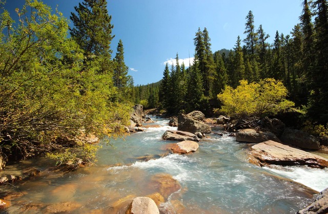 Settlers Creek 6500