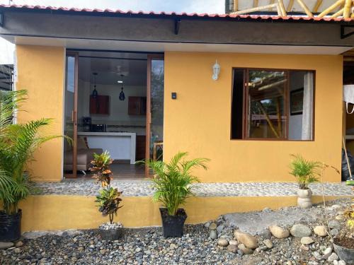 Shakai suite