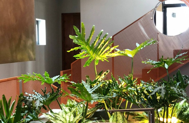 Shelter Stay Da Nang