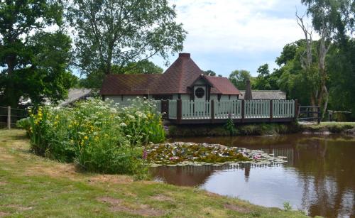 Silver Birch Cabin, Bulbury Farm