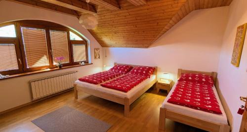 SIMA - RELAX, Žilina