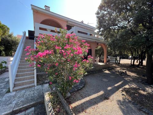 Šimuni holiday home by Pag tours