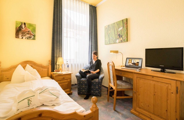 Single Room - Hotel Winterberg
