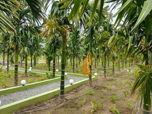 Siruvani Farm Stay Near Isha Yoga Adiyogi