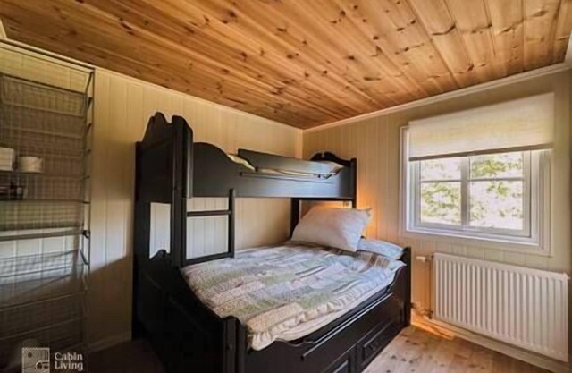 Sjusjøen, Luxury cabin with hot tub, ski-in/out