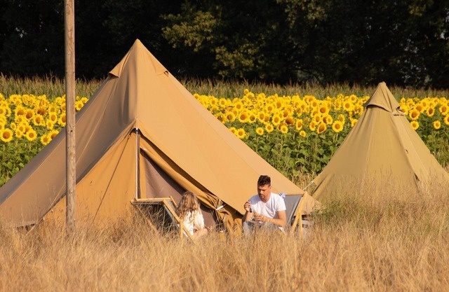 Sleep in Mölkes backyard! Enjoy a wonderful festival atmosphere and make use of all our facilities!