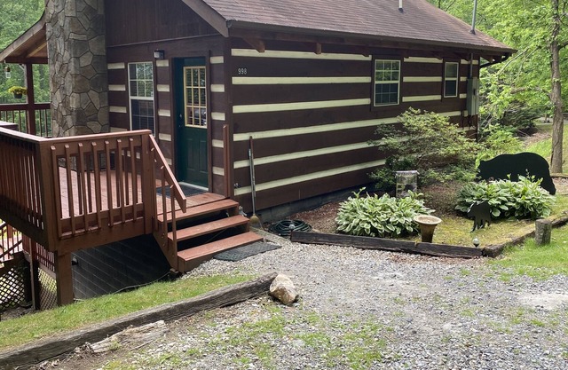 Smoky Mountain Meadows - Mountain view!! Pet Friendly - NO PET FEES!