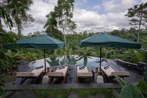Sokwayah Jungle Villas & Retreat