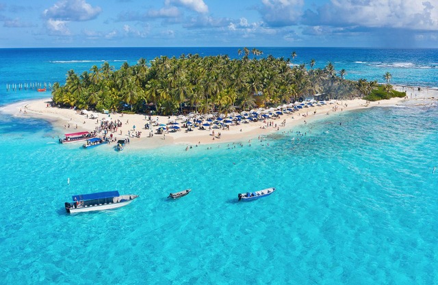 Sol Caribe Sea Flower