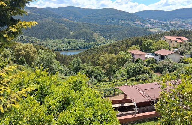 Solar De Sebolido - Holiday Home