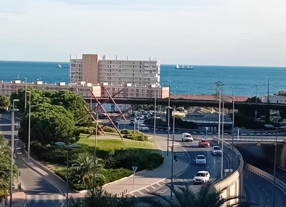 solie alicante