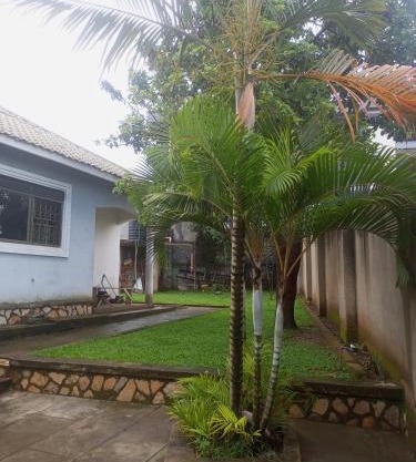 Sour sop Guest House