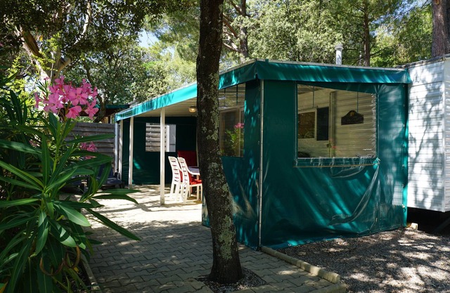 South France Chalet Camping Leï Suves **** FREE AIRCO