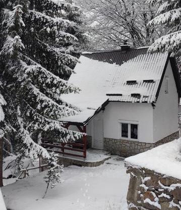 Sova Kopaonik