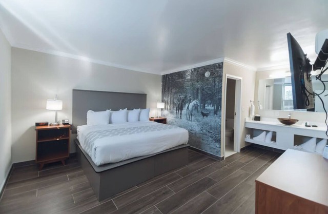 Spa Suite Junior at Equus Inn, Outdoor Seasonal Pool, Free Breakfast