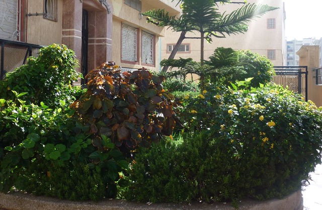 Spacious apartment - 84m2- 200m of the ocean in Morocco Eljadida
