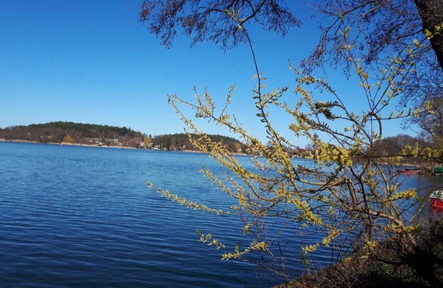 Spacious apartment with lake view and lake access, own boat