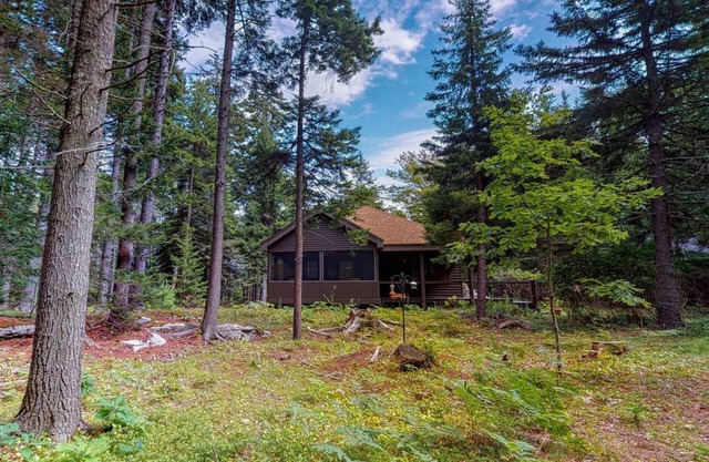 Spacious cabin in a secluded spot within pine woods - close to restaurants