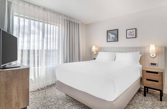 Spacious Good-Value Accommodation! 2 Comfortable Units, Free Breakfast
