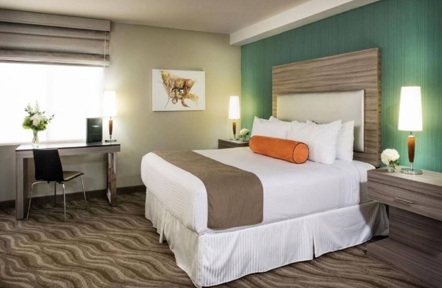 Spacious Studio Suite in Little Italy Near Harbor, Dining, Zoo and Attractions