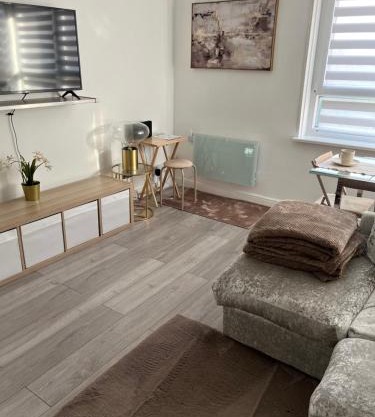 Spacious stylish apartment Croydon