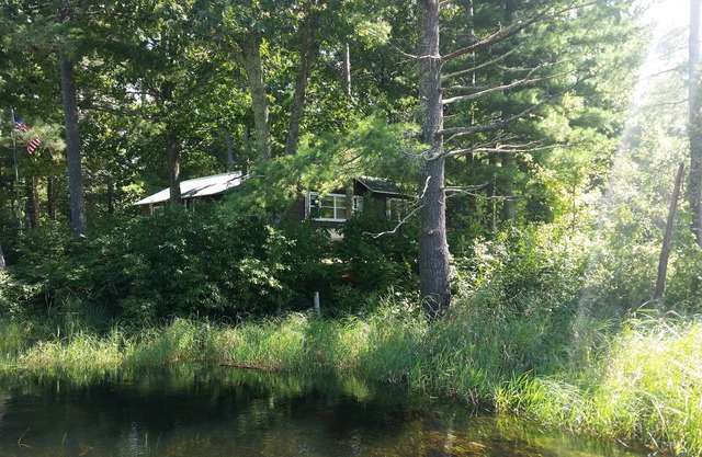 Spider Creek Country Cottage - Cozy cottage close to lakes, trails, and more!