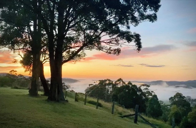 Spring Special. Peaceful escape, beaut views & sauna. Nr Seal Rocks. Pets okay.