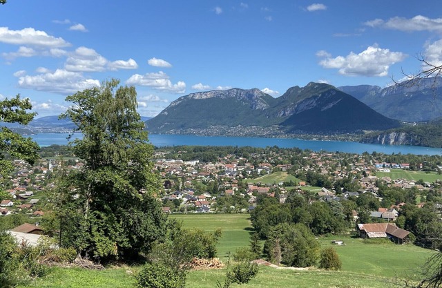 ST JORIOZ, Spacieuse Villa, Vue lac, 6000M2 de terrain 16 PERS.