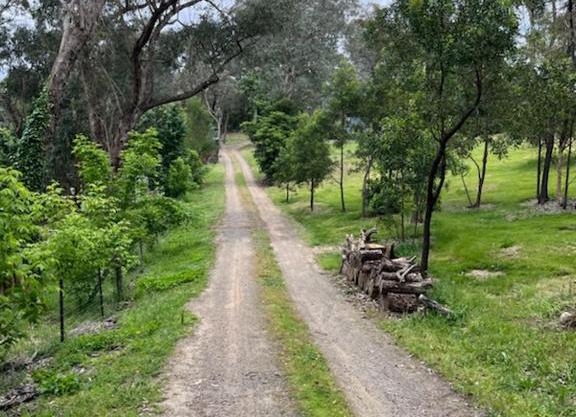 STA Wildlife Sanctuary - Yarra Valley Gateway!
