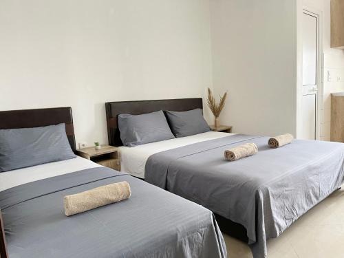 STANDART Premium