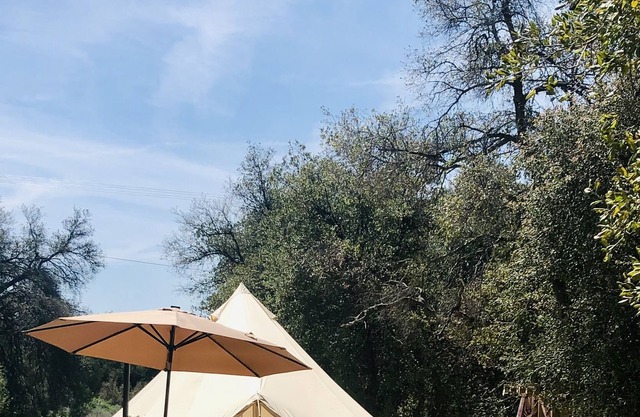 Stargazer Bell Tent