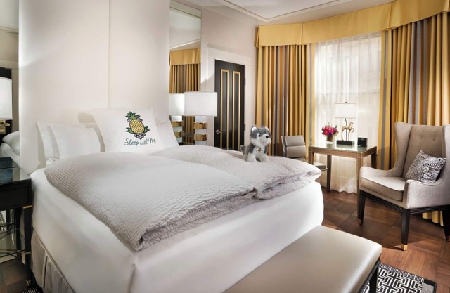 Starlet Queen Refuge, Staypineapple, Comfort Redefined, Union Square’s Spotlight