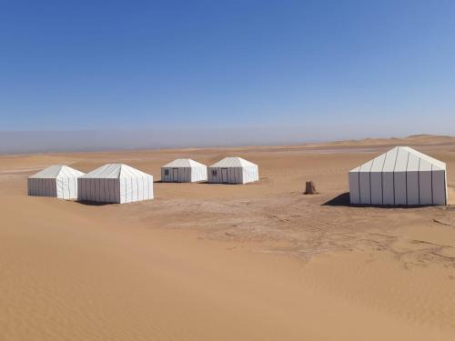 Starlit Desert Camp