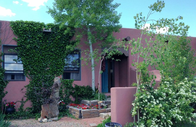 Starry, Starry Nights in Quiet Cozy Country Home with Pleasurable Amenities
