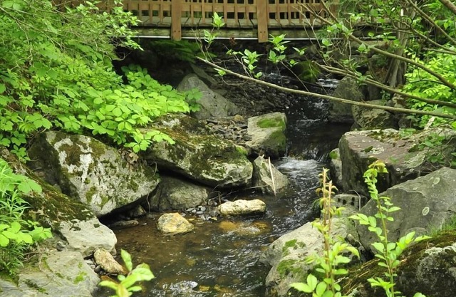 Stay Berkshires