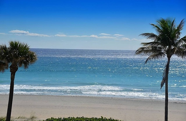 Stay Close to Boca Raton Beach! Pet-friendly Accommodation, Free Parking, Pool!